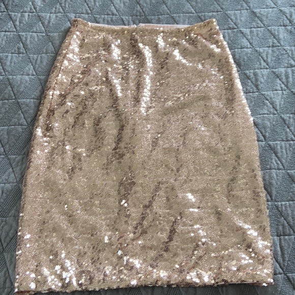 Dresses & Skirts - Custom made Etsy Rose gold pencil skirt